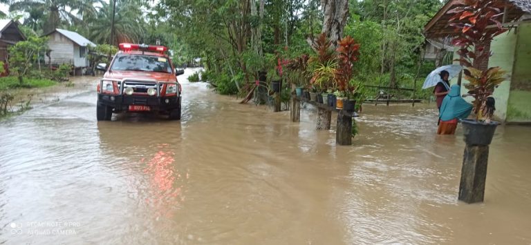 HAMPIR SELURUH KECAMATAN DALAM WILAYAH KABUPATEN ACEH TIMUR TERENDAM BANJIR