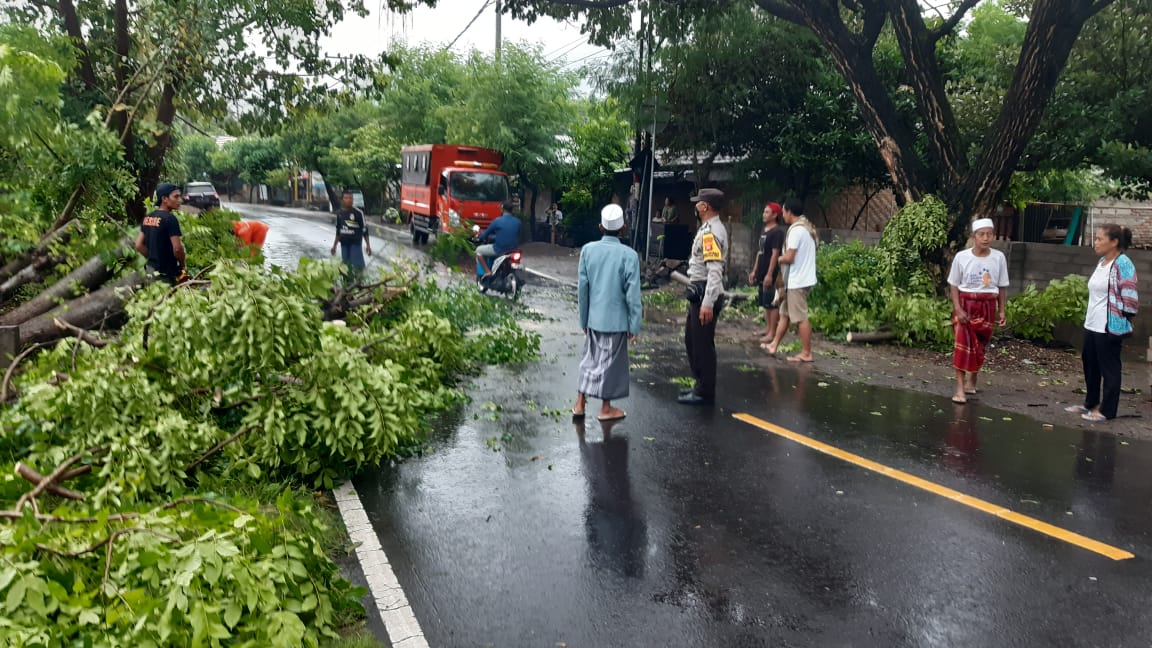 WhatsApp Image 2021-02-25 at 08.03.06