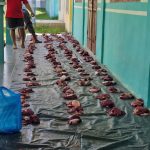 Qurban Dewan Guru SMKN 1 Aceh Timur IMG-20240618-WA0005