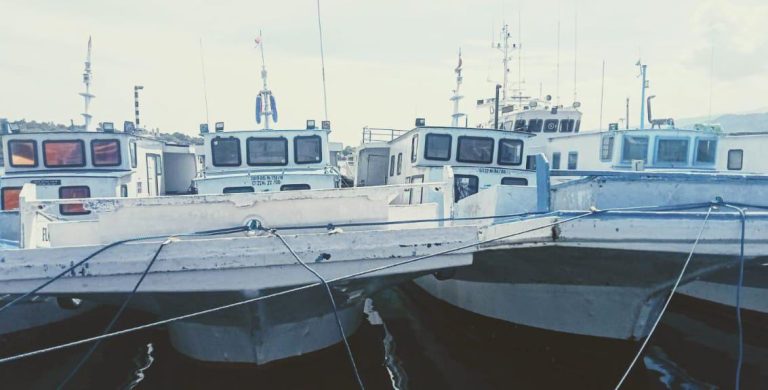 WhatsApp Image 2025-03-12 at 13.19.04