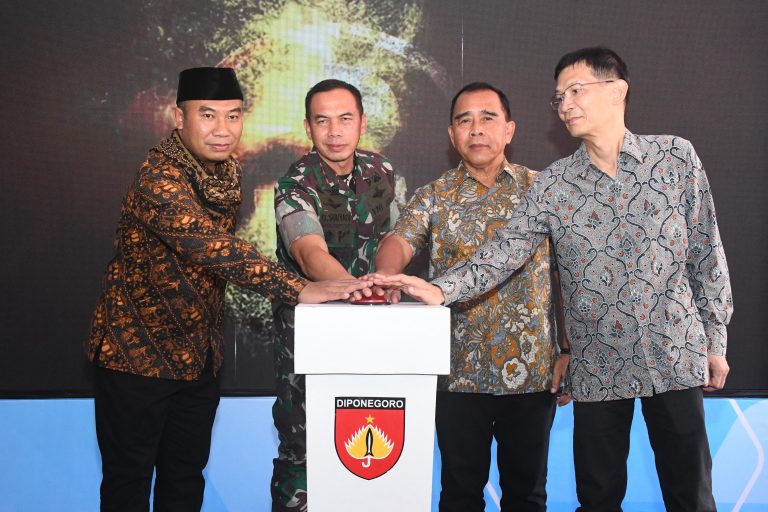 WhatsApp Image 2025-05-12 at 19.45.49