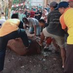 Gambar WhatsApp 2025-06-06 pukul 19.24.49_e865b3d7