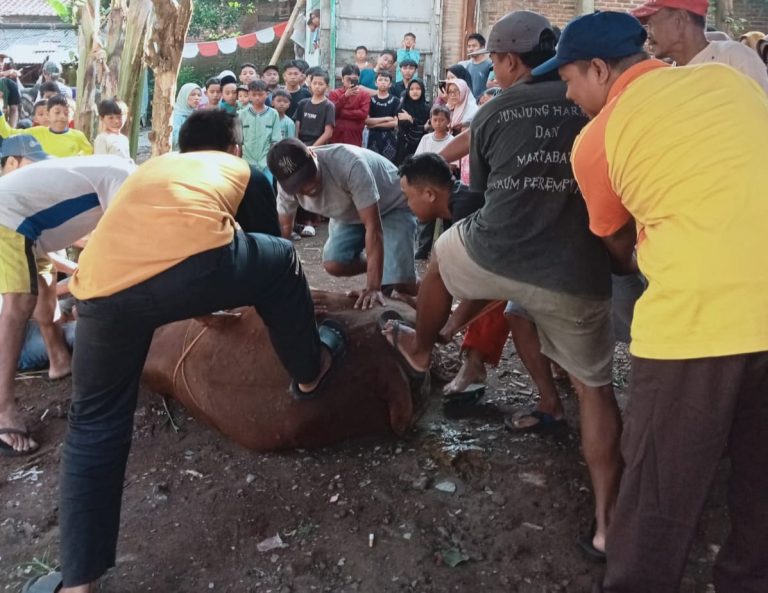 Gambar WhatsApp 2025-06-06 pukul 19.24.49_e865b3d7