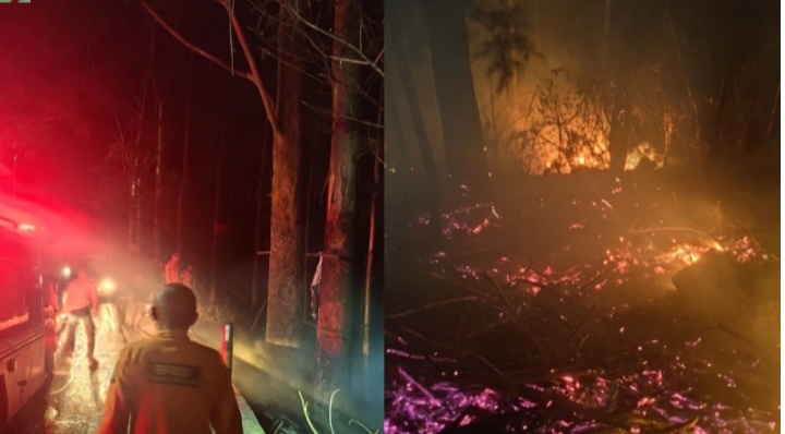 WhatsApp Image 2025-07-04 at 18.08.55